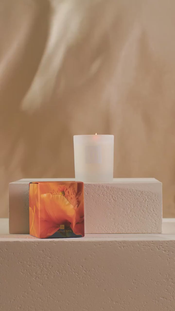 Seasons Of Change Christmas 2026 video