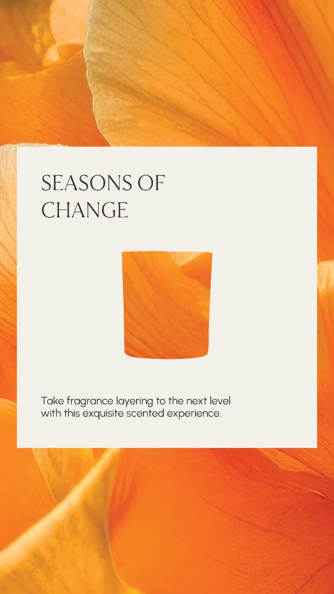 Seasons Of Change Christmas 2026 image 4