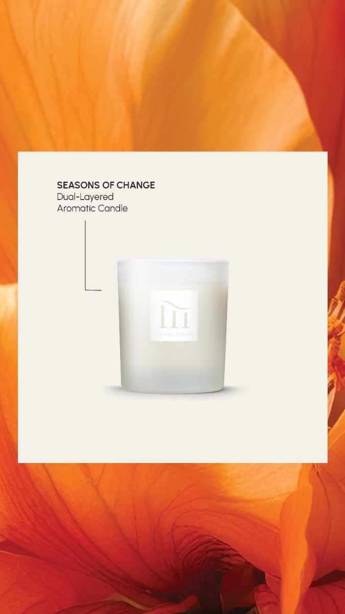 Seasons Of Change Christmas 2026 image 2