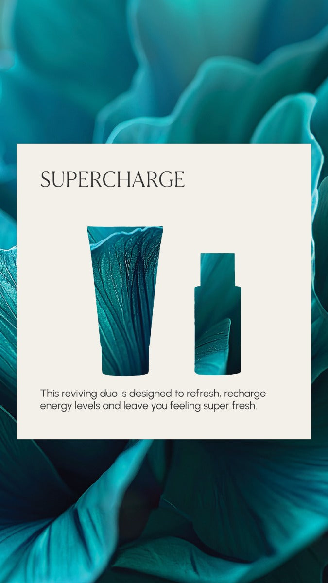 Supercharge Christmas 2026 image 4