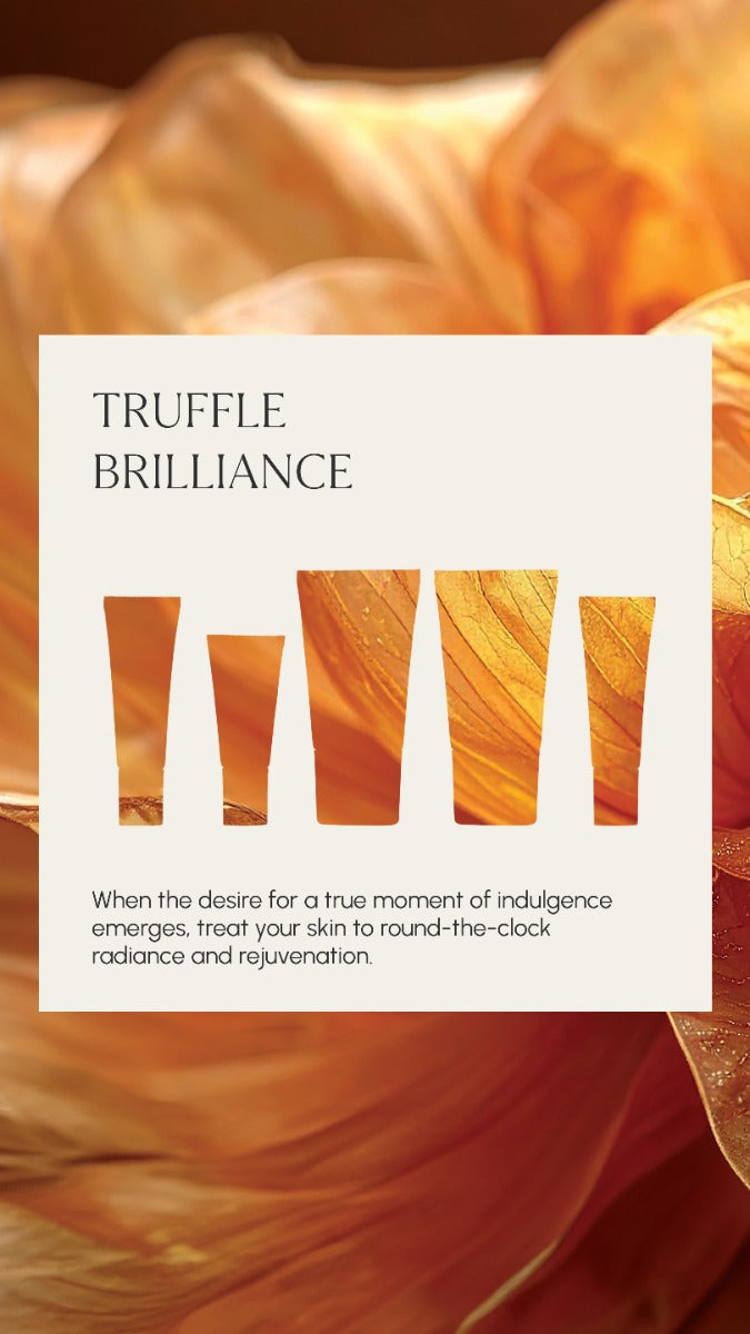 Truffle Brilliance Christmas 2026 image 4